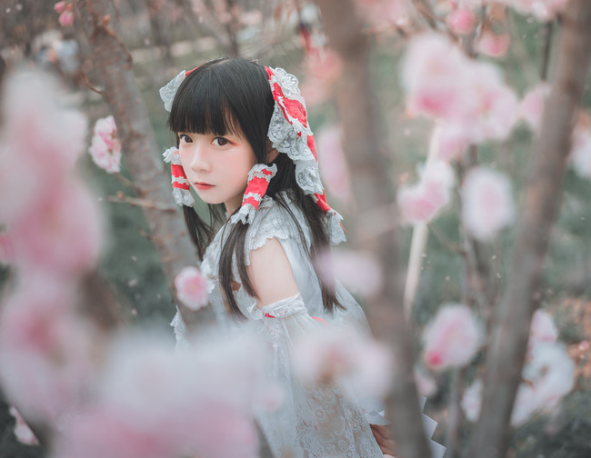 【 COS正片】 博丽灵梦(●'◡'●) COSPLAY-第1张