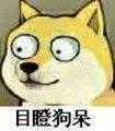 《我的银河系恋爱史》：男主唤醒元能，被赐予追求银河系公主资格