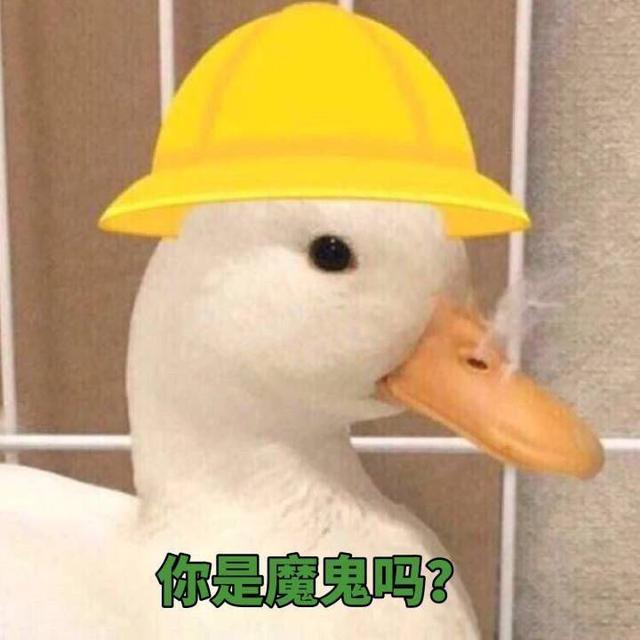 《我的银河系恋爱史》：男主唤醒元能，被赐予追求银河系公主资格