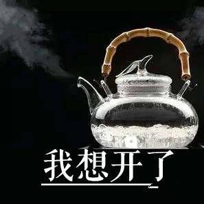 《我的银河系恋爱史》：男主唤醒元能，被赐予追求银河系公主资格