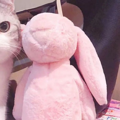 [头像]你喜欢的猫咪端上来啦，可爱猫咪情侣头像~ 头像-第10张