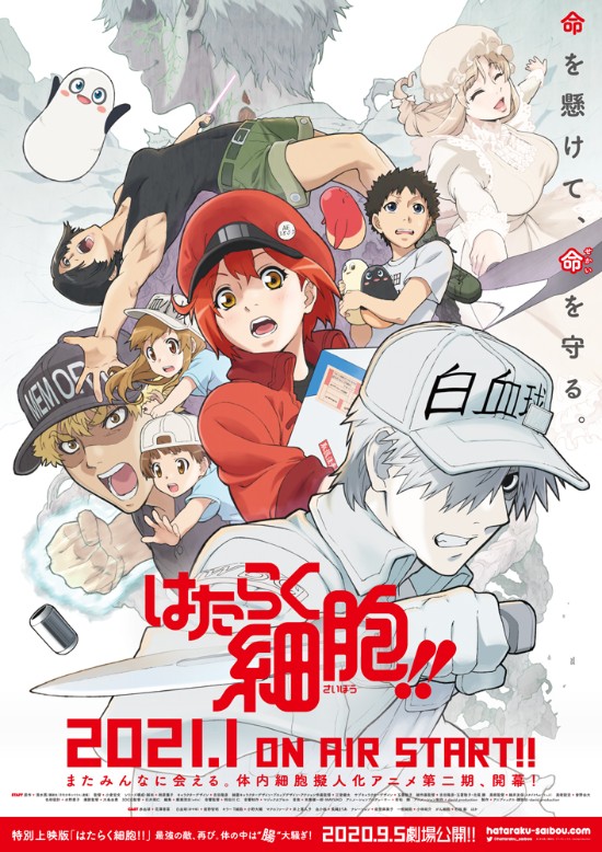 《工作细胞》第二季第一弹PV公开 2021年1月放送 - 次元速报 次元小镇