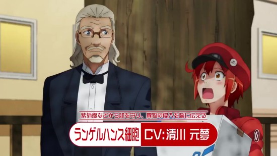 《工作细胞》第二季第一弹PV公开 2021年1月放送 - 次元速报 次元小镇