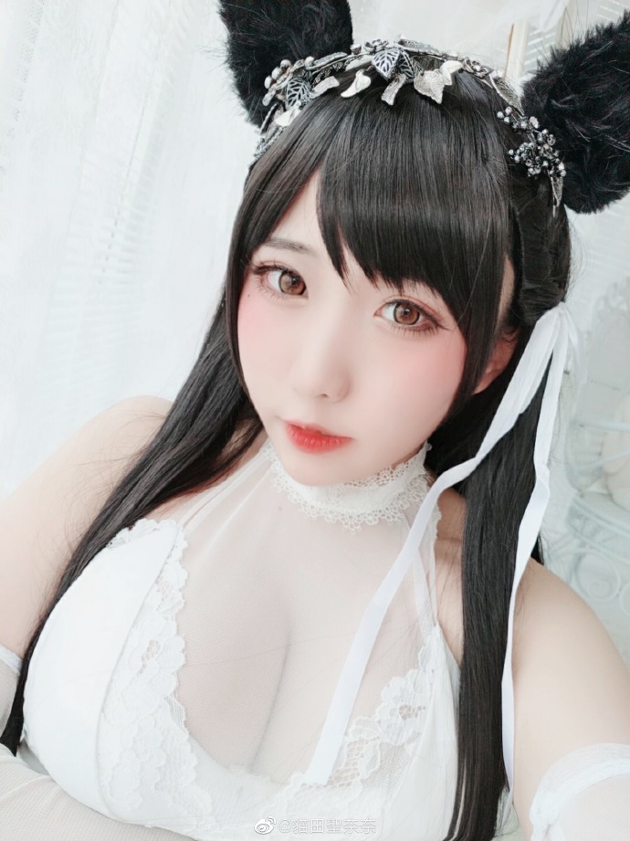 碧蓝航线cos 爱宕犬