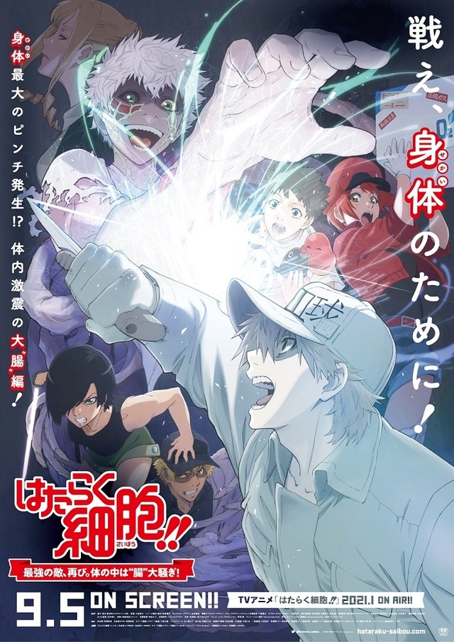 [次元速报] 特别上映版「工作细胞」公开正式PV和海报