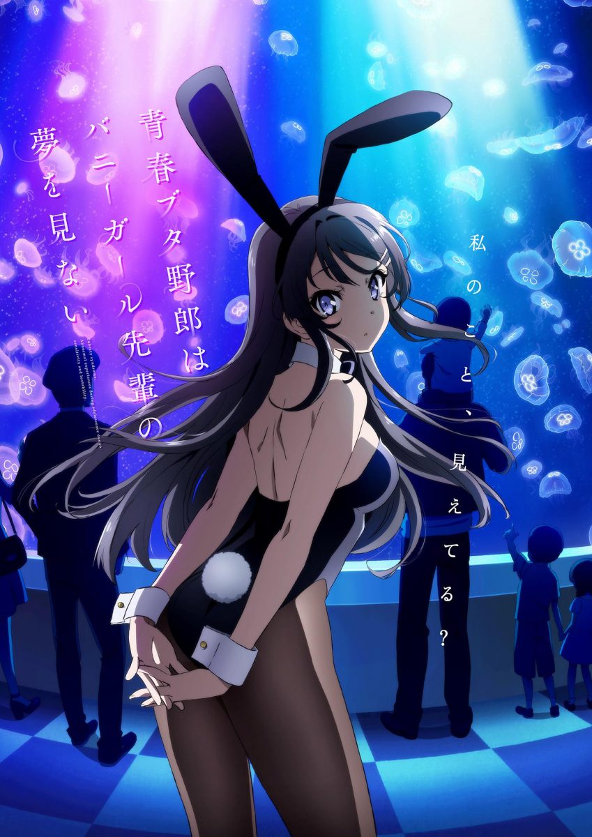 【动漫下载】《青春期笨蛋不做兔女郎学姐的梦》[1-13话][全集][720P][百度网盘] 番剧-第1张