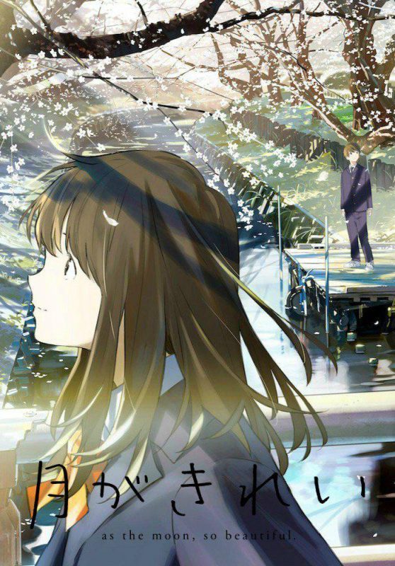 【动漫下载】《月色真美 月がきれい》[1-12话][全集][720P][百度网盘] 番剧-第1张