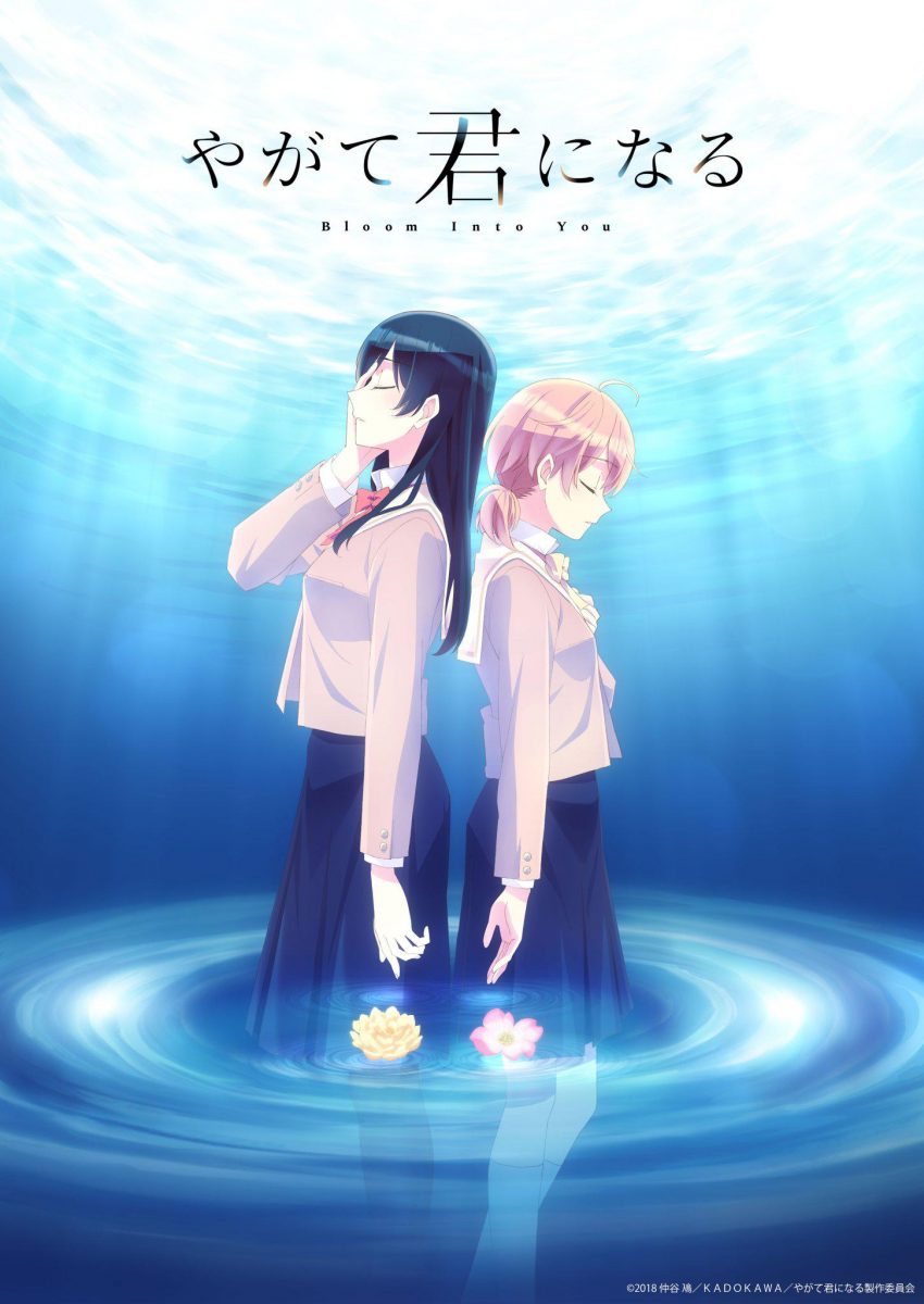 【动漫下载】《终将成为你 やがて君になる》[1-13话][全集][1080P][磁力链接] 番剧-第1张