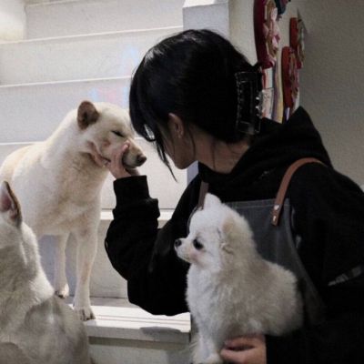 也许睡着才是常态，醒着只是为了手机做梦的素材 小众女头 头像-第8张