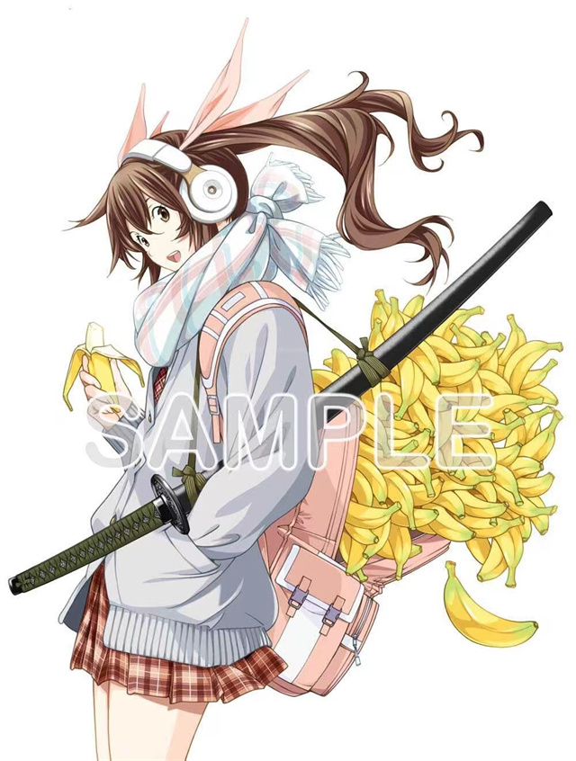 动画《真·一骑当千》Blu-ray&DVD BOX封面插画公开