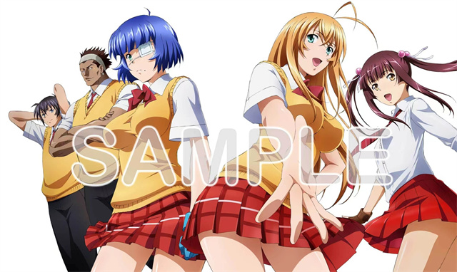 动画《真·一骑当千》Blu-ray&DVD BOX封面插画公开