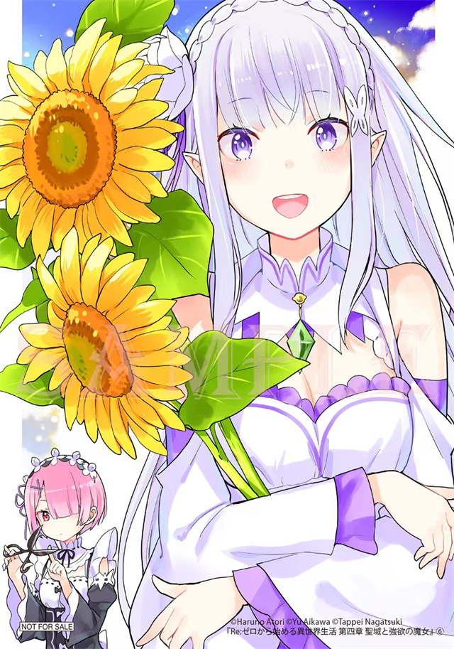 《Re：从零开始的异世界生活 第四章 圣域与强欲的魔女》第6卷封面