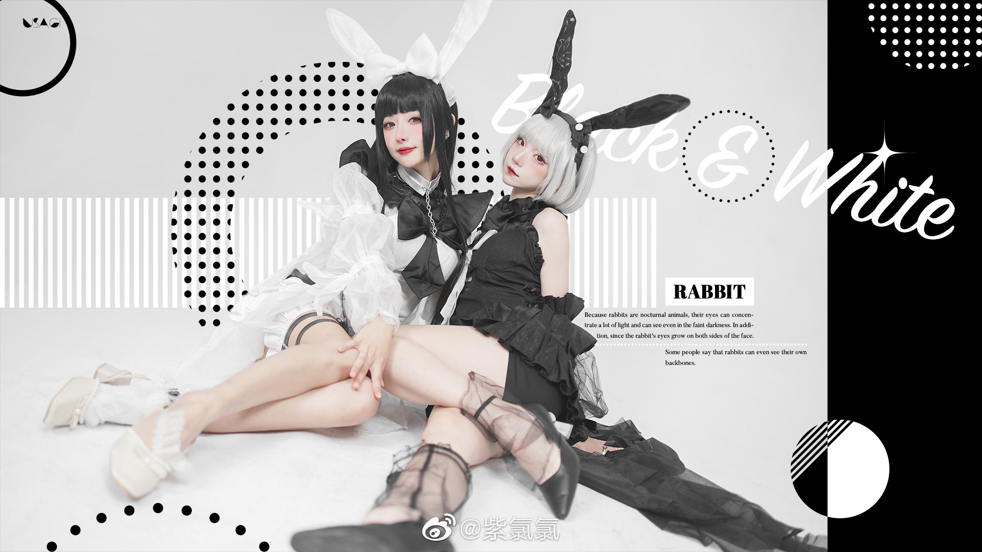 【COS】您好 欢迎来到兔兔🐰国度 白兔@紫氯氯  黑兔@杜杜Dolly_ COSPLAY-第2张