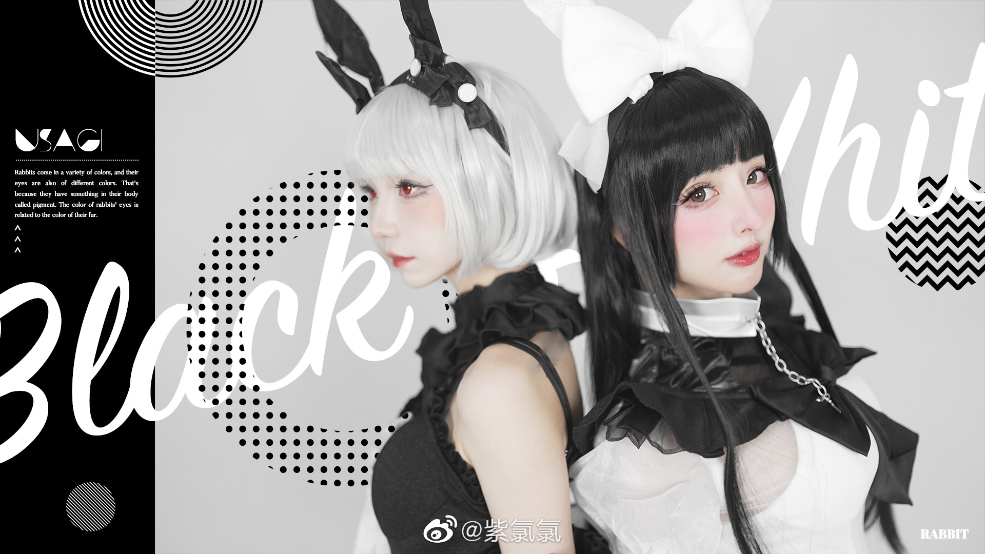 【COS】您好 欢迎来到兔兔🐰国度 白兔@紫氯氯  黑兔@杜杜Dolly_ COSPLAY-第4张