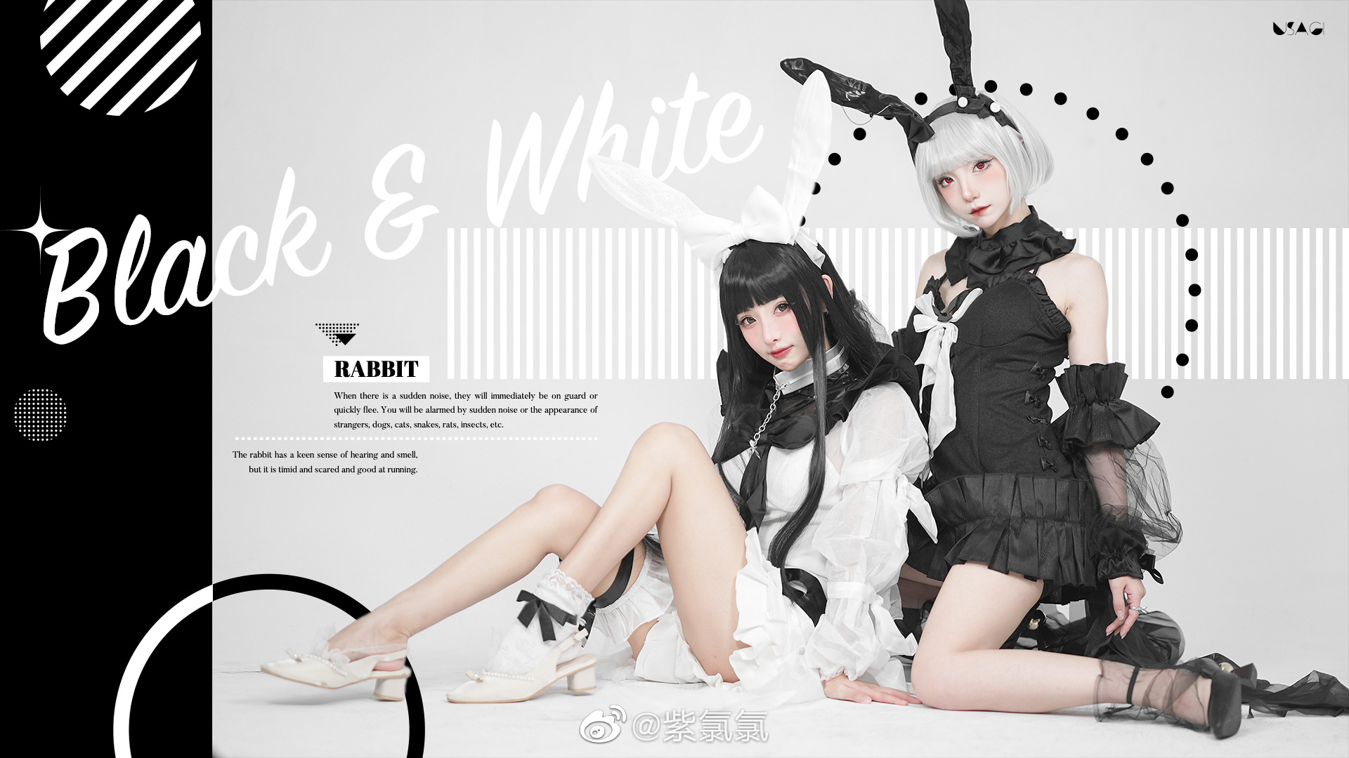 【COS】您好 欢迎来到兔兔🐰国度 白兔@紫氯氯  黑兔@杜杜Dolly_ COSPLAY-第5张