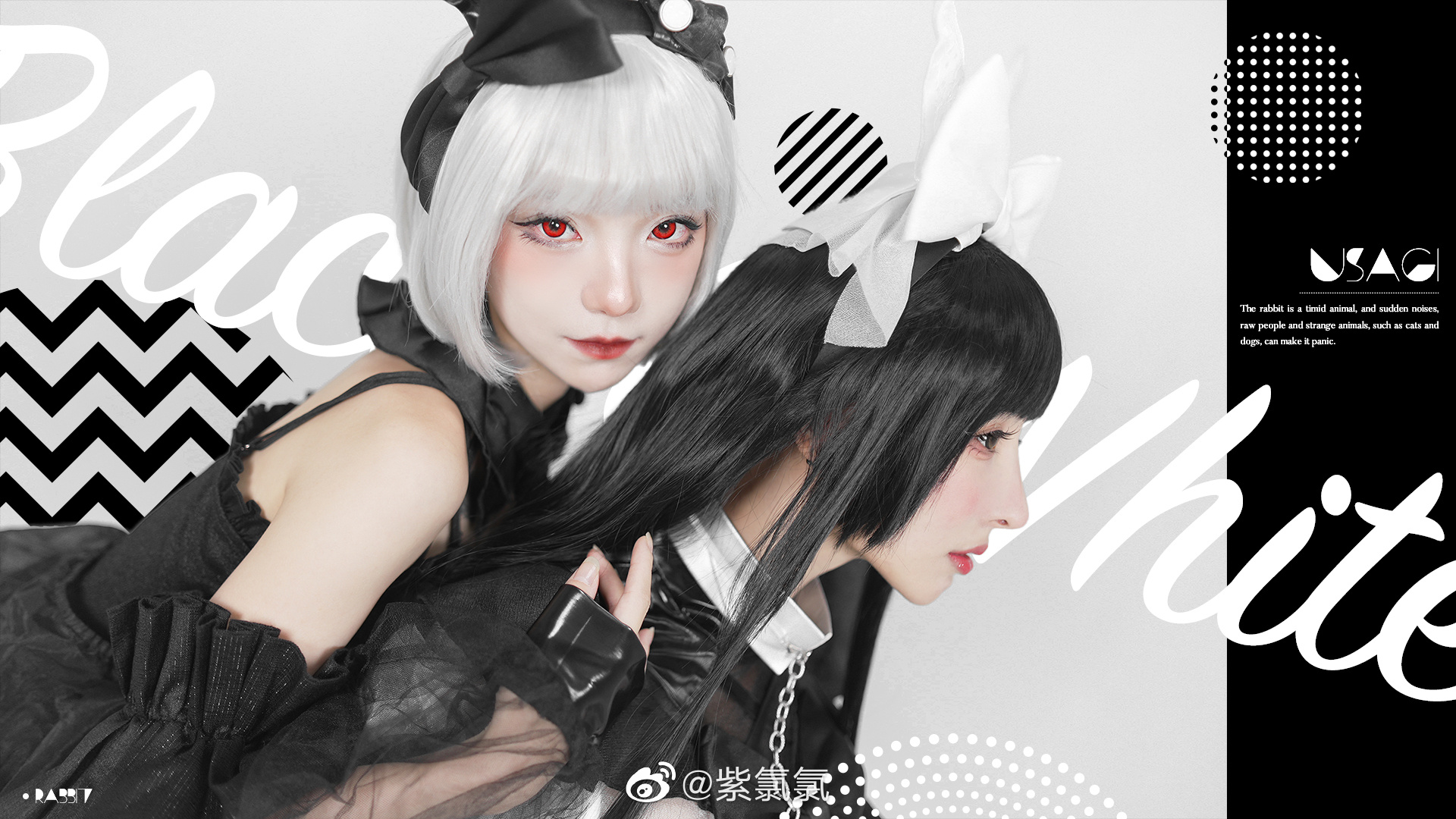 【COS】您好 欢迎来到兔兔🐰国度 白兔@紫氯氯  黑兔@杜杜Dolly_ COSPLAY-第6张