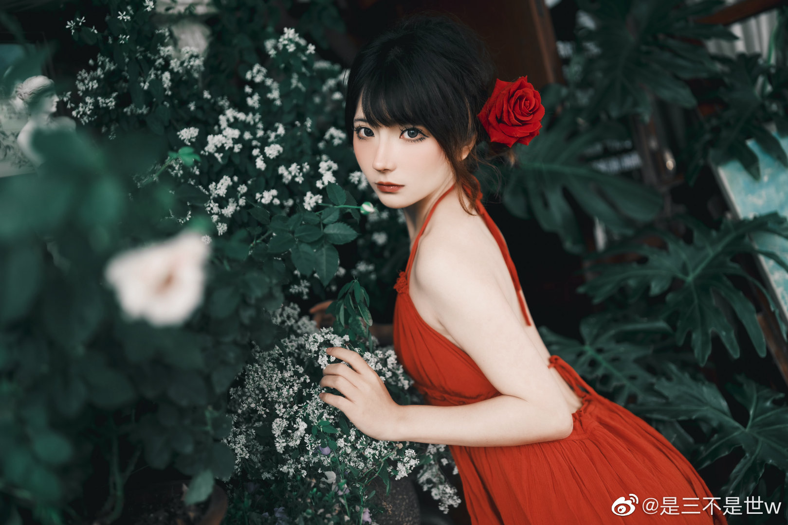 少女写真 正因为你在玫瑰上花费了时间，才使你的玫瑰如此重要。@是三不是世w 摄影-第5张