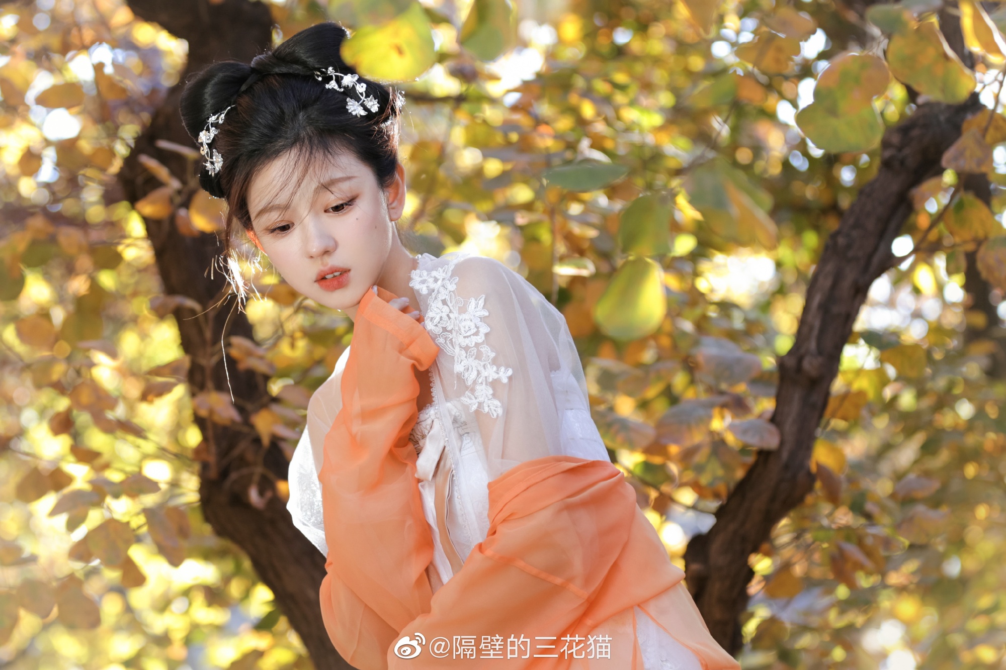撷一片落叶，斟一杯茶； 忽见你在此，甚是心安... 摄影-第9张