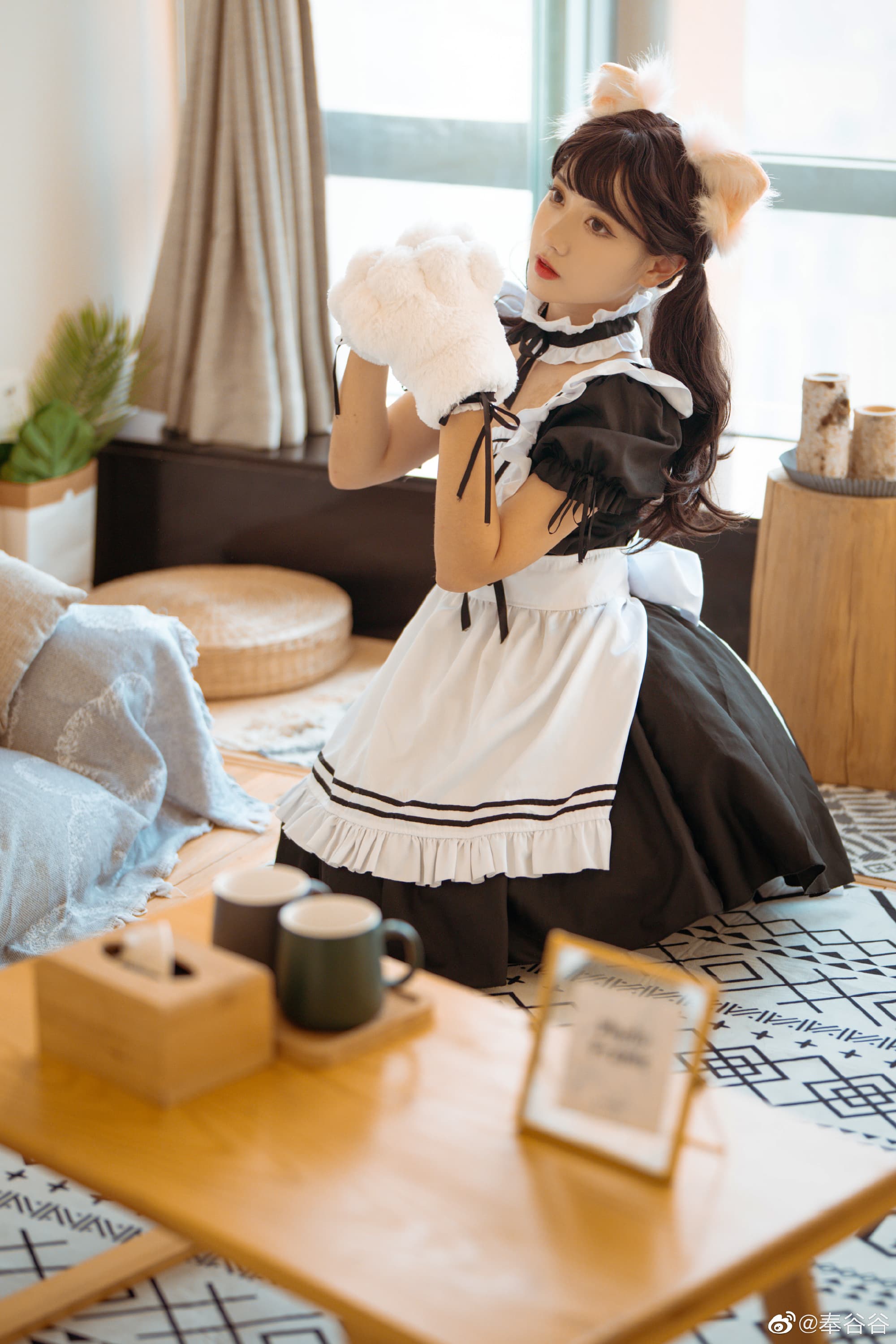 事已至此，先喵一声ฅ՞•ﻌ•՞ฅ@奉谷谷 摄影-第2张