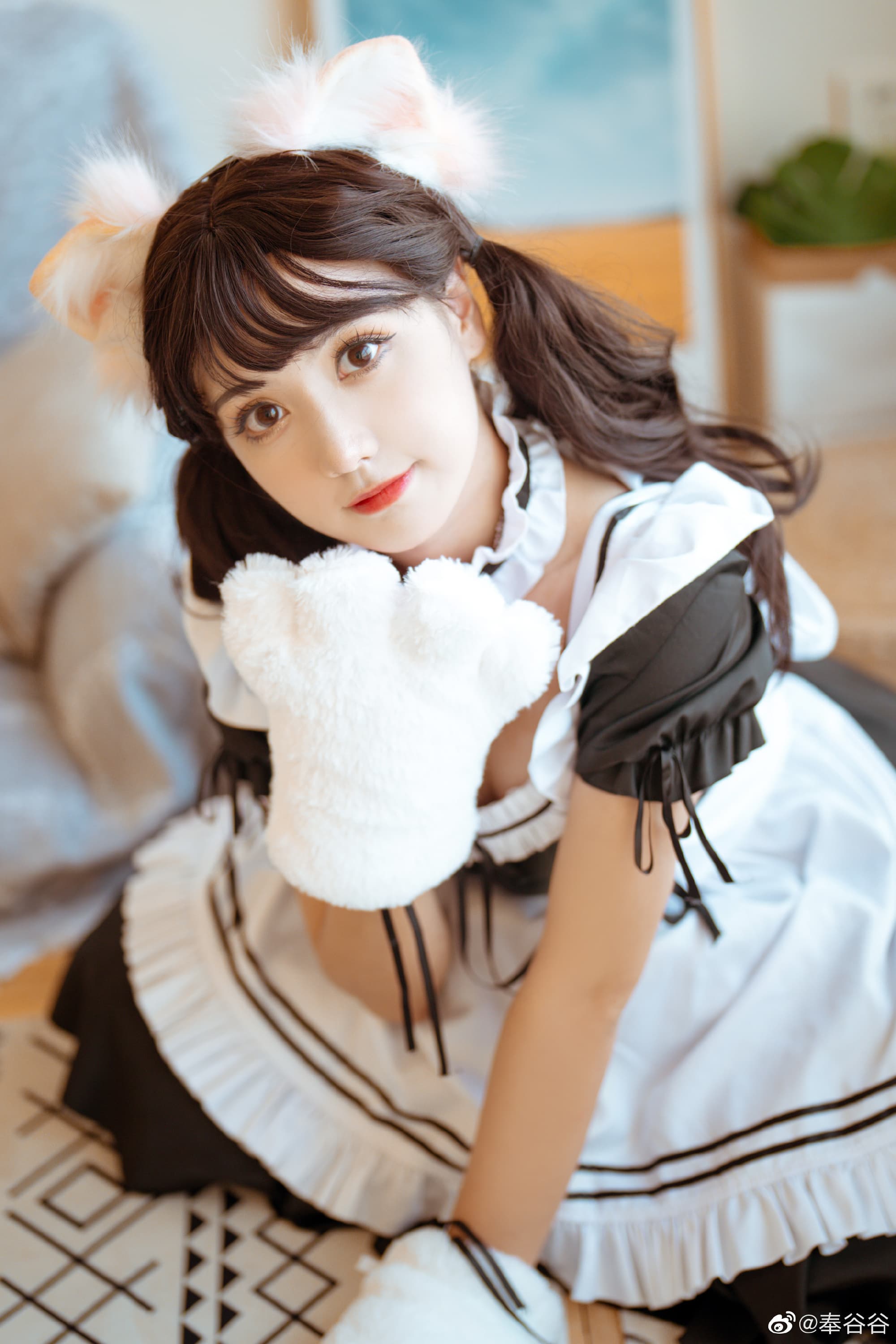 事已至此，先喵一声ฅ՞•ﻌ•՞ฅ@奉谷谷 摄影-第10张