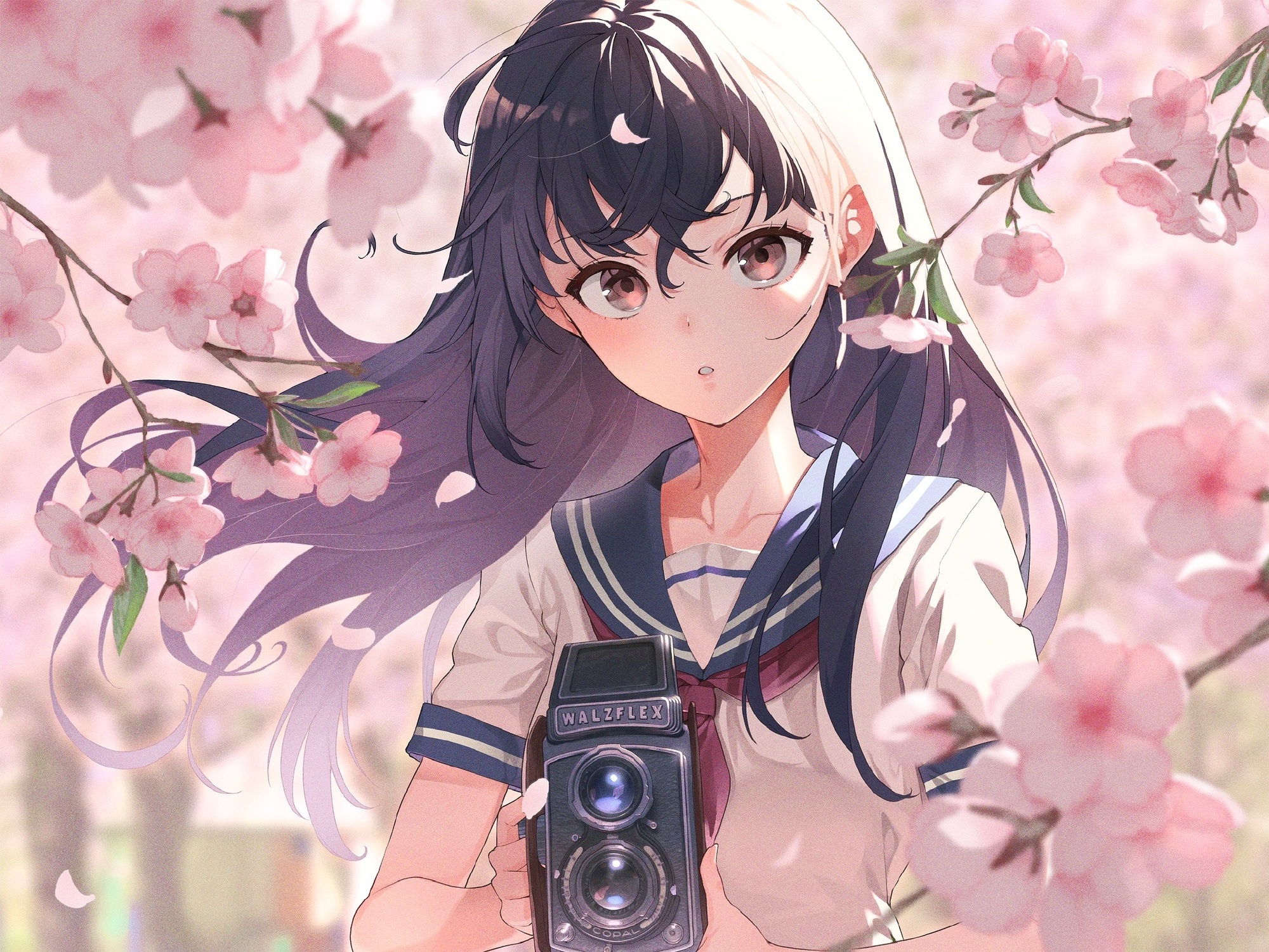 【P站画师】可爱的萌妹子们！画师華葡(かぶ。)的插画作品推荐 - dimtown.COM
