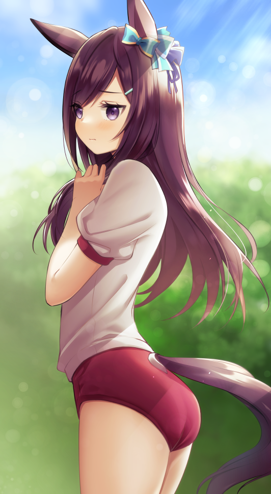 【P站美图】《赛马娘》目白多伯壁纸特辑 第一期 P站美图-第11张