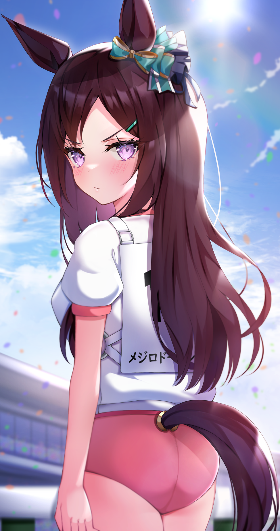 【P站美图】《赛马娘》目白多伯壁纸特辑 第二期 插画-第19张
