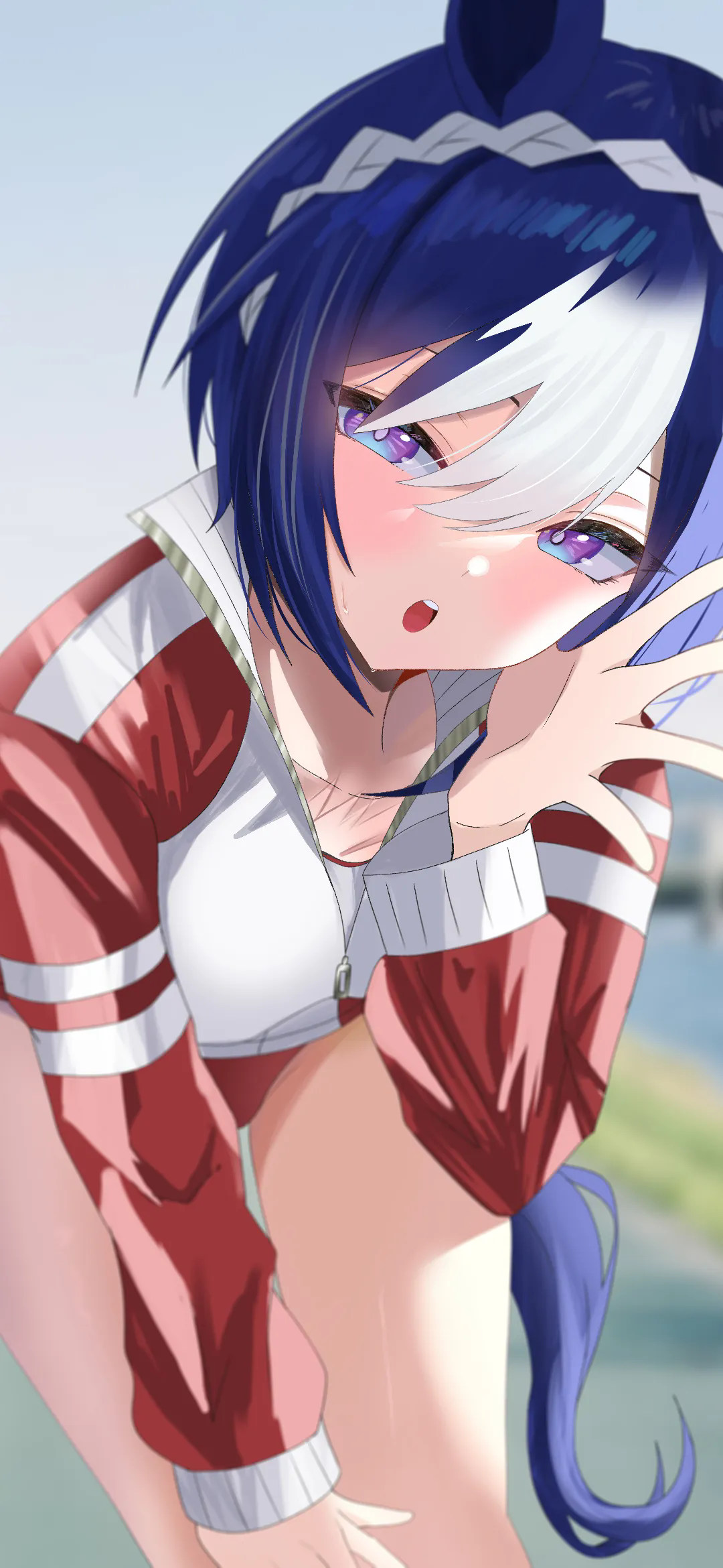 【动漫壁纸】崩坏:星穹铁道 卡芙卡 花火 小鸟游星野 小鲨鱼 喜多川多梦 插画美图推荐 手机壁纸-第8张