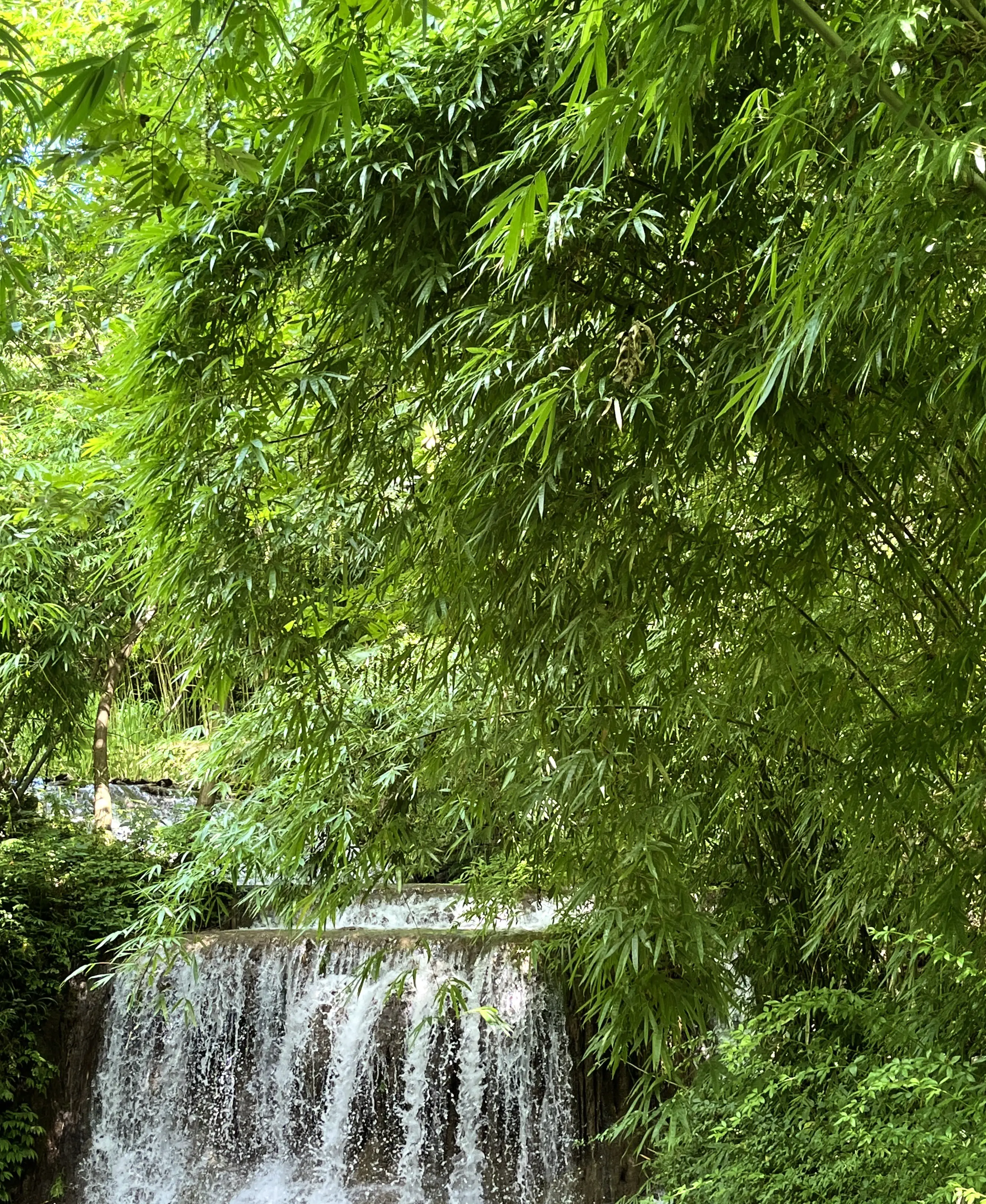 绿水青山 动漫壁纸-第1张